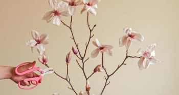 Cách Tạo Không Gian Nội Thất Đẹp Theo Phong Cách Indochine